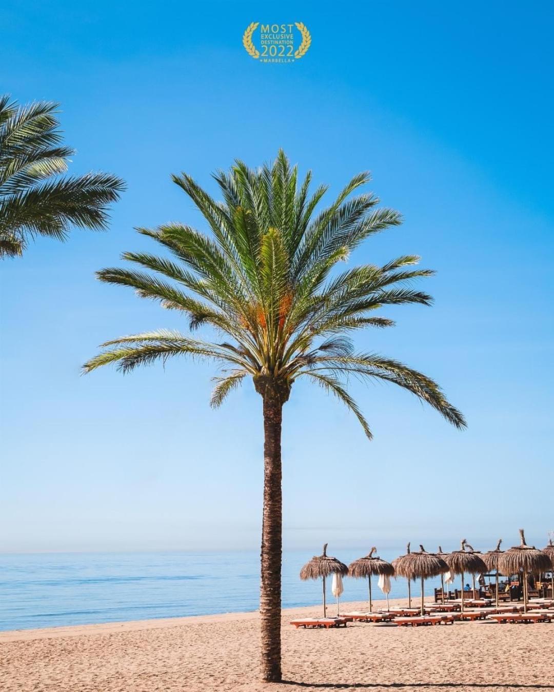 Puerto Banus Crystal Suite Μαρμπέλλα Εξωτερικό φωτογραφία